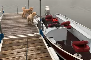 3 Wickup Ln, Sandy River Plt, ME 04970 - Photo 52