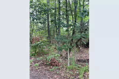 Lot 11 Dillingham Road, Naples, ME 04055 - Photo 4