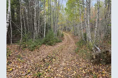 Map R09, Lot 12, Fox Run Drive, Mariaville, ME 04605 - Photo 22