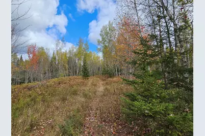 Map R09, Lot 12, Fox Run Drive, Mariaville, ME 04605 - Photo 24