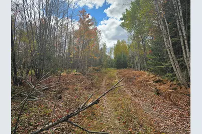 Map R09, Lot 12, Fox Run Drive, Mariaville, ME 04605 - Photo 12