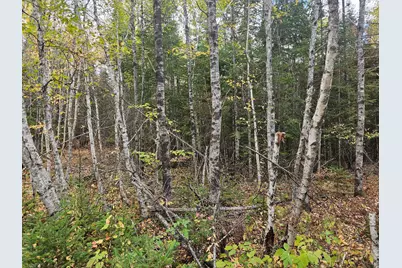 Map R09, Lot 12, Fox Run Drive, Mariaville, ME 04605 - Photo 18