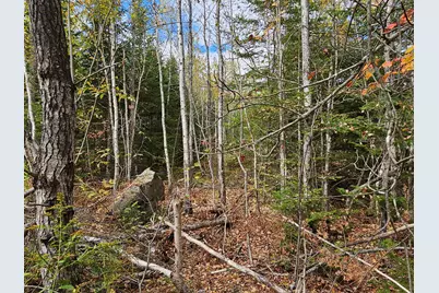 Map R09, Lot 12, Fox Run Drive, Mariaville, ME 04605 - Photo 10