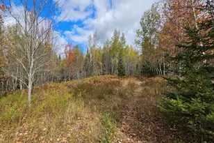 Map R09 Lot 12 Fox Run Dr, Mariaville, ME 04605 - Photo 1