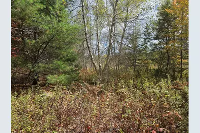 Map R09, Lot 12, Fox Run Drive, Mariaville, ME 04605 - Photo 8