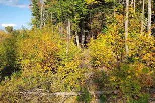 91 Greenleaf Brook Rd, Amity, ME 04730 - Photo 60