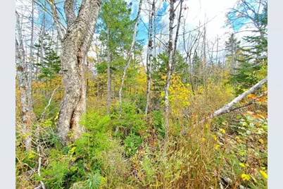 91 Greenleaf Brook Road, Amity, ME 04730 - Photo 52