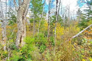 91 Greenleaf Brook Rd, Amity, ME 04730 - Photo 52