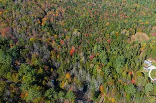 463 Clover Mill Rd, Farmington, ME 04938 - Photo 44