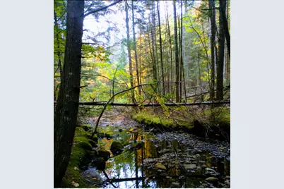 463 Clover Mill Road, Farmington, ME 04938 - Photo 4