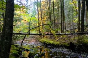 463 Clover Mill Rd, Farmington, ME 04938 - Photo 4