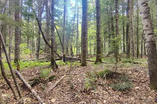 463 Clover Mill Rd, Farmington, ME 04938 - Photo 40