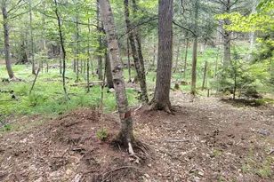 463 Clover Mill Rd, Farmington, ME 04938 - Photo 34