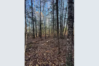 202 Ayers Junction Road, Pembroke, ME 04666 - Photo 44