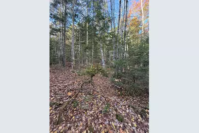 202 Ayers Junction Road, Pembroke, ME 04666 - Photo 46