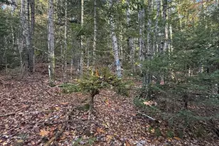 202 Ayers Junction Rd, Pembroke, ME 04666 - Photo 46