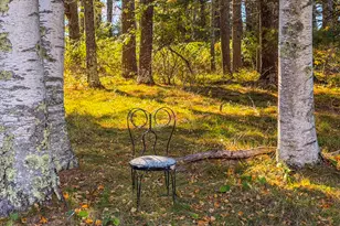 101 Marshall Shore Rd, Liberty, ME 04949 - Photo 22