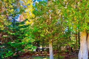 17 Freeman Ridge Rd, Southwest Harbor, ME 04679 - Photo 50