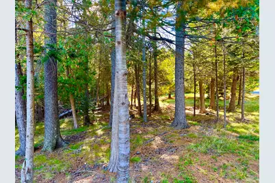 17 Freeman Ridge Road, Southwest Harbor, ME 04679 - Photo 54