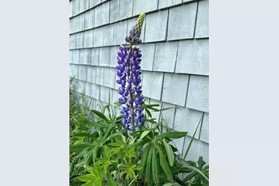 561 Bayside Road, Ellsworth, ME 04605 - Photo 68