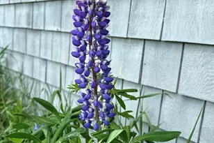 561 Bayside Rd, Ellsworth, ME 04605 - Photo 68