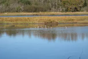 P/O 120 Wescogus Rd, Addison, ME 04606 - Photo 1