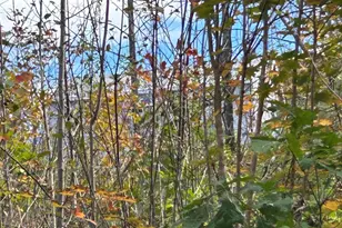 11 Penny Ln, Parsonsfield, ME 04047 - Photo 14