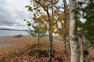 22 Pine Tree Shores, Alexander, ME 04694 - Photo 2