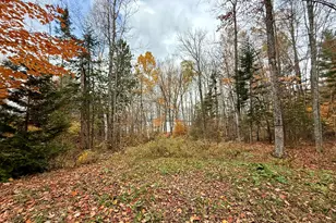 22 Pine Tree Shores, Alexander, ME 04694 - Photo 26