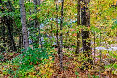 425 Grover Hill Road, Bethel, ME 04217 - Photo 40