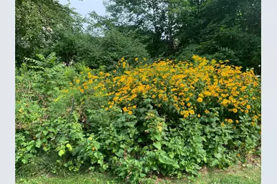 18 Belgrade Road, Oakland, ME 04963 - Photo 50