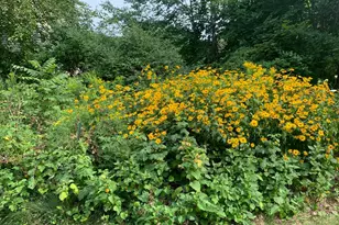 18 Belgrade Rd, Oakland, ME 04963 - Photo 50