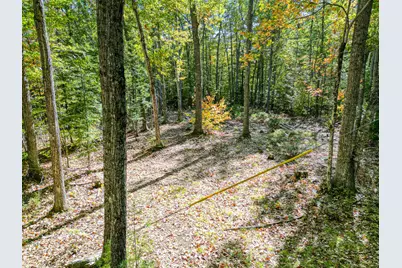 Tbd Blue Jay Way, Fayette, ME 04349 - Photo 12