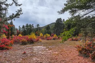 97 Pig St, Brownfield, ME 04010 - Photo 4