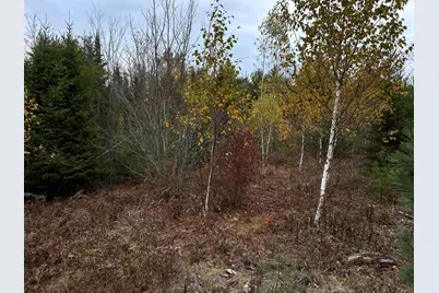 401 Genthner Road, Waldoboro, ME 04572 - Photo 22