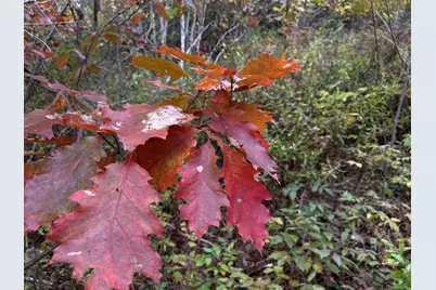 401 Genthner Road, Waldoboro, ME 04572 - Photo 40