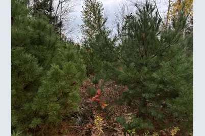 401 Genthner Road, Waldoboro, ME 04572 - Photo 38