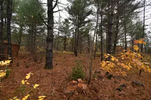 P/O Lot 7 Old School House Rd, Norridgewock, ME 04957 - Photo 28