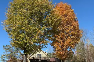 7 Hilltop Rd, Guilford, ME 04443 - Photo 20