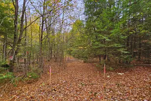 009-007 Lilly Dr, Newport, ME 04953 - Photo 1