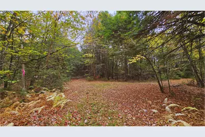 009-007 Lilly Drive, Newport, ME 04953 - Photo 2