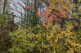 19-04 Acorn Ln, Freedom, ME 04941 - Photo 1