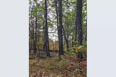 133 Plantation Lane, Brownfield, ME 04010 - Photo 4