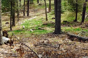 18 Peterson Ln, Brunswick, ME 04011 - Photo 1