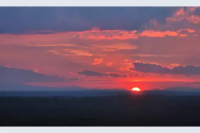 341 US Route 1, Weston, ME 04424 - Photo 104