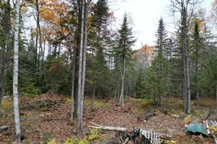 20 Oake Ln, Howland, ME 04448 - Photo 6