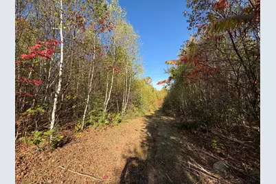 Off Lord Brook Road, Grand Falls Twp, ME 04418 - Photo 12