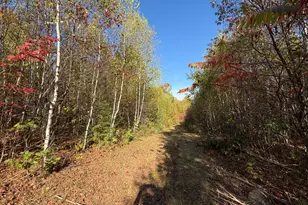 Off Lord Brook Rd, Grand Falls Twp, ME 04418 - Photo 12