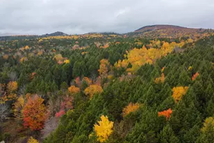 Map Pe002 Lot 17, Pukakon Twp, ME 04487 - Photo 8