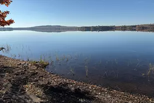 55 McNelly Rd, Island Falls, ME 04747 - Photo 2